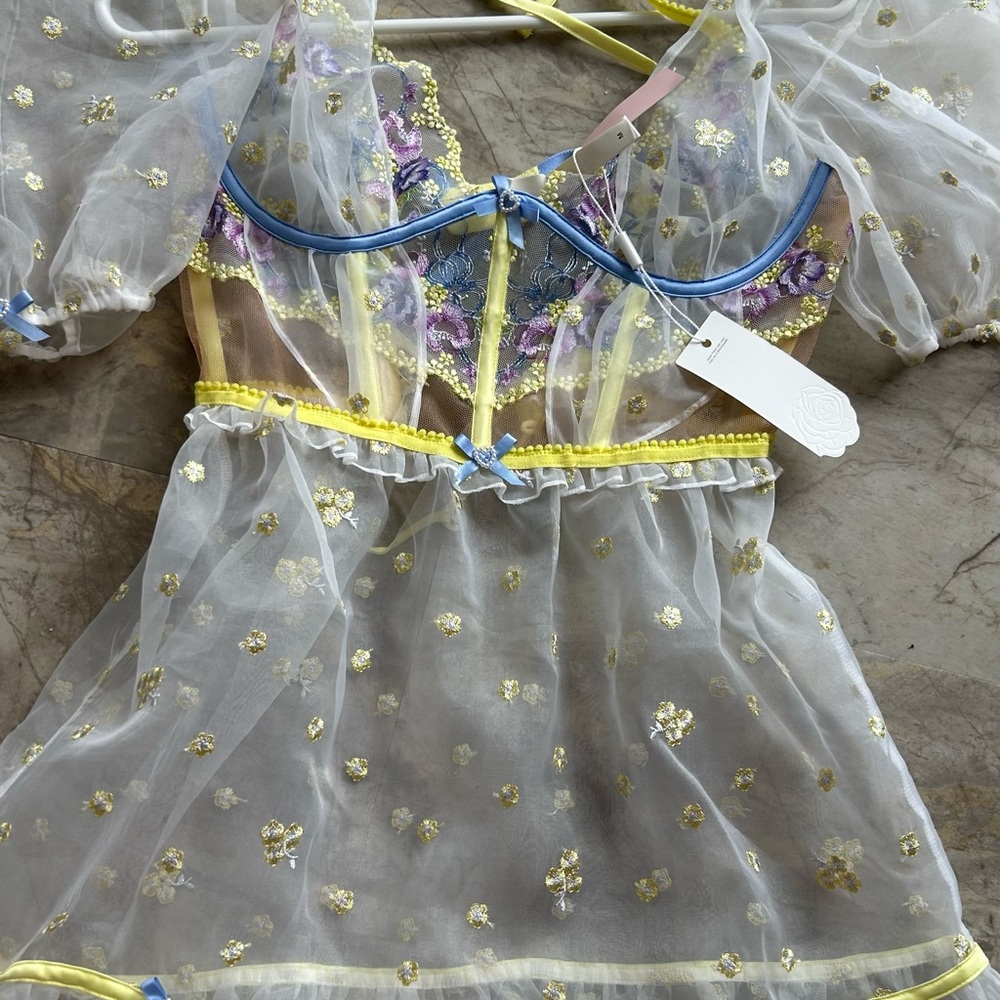 For Love and Lemons Sheer Embroidered Floral Dress